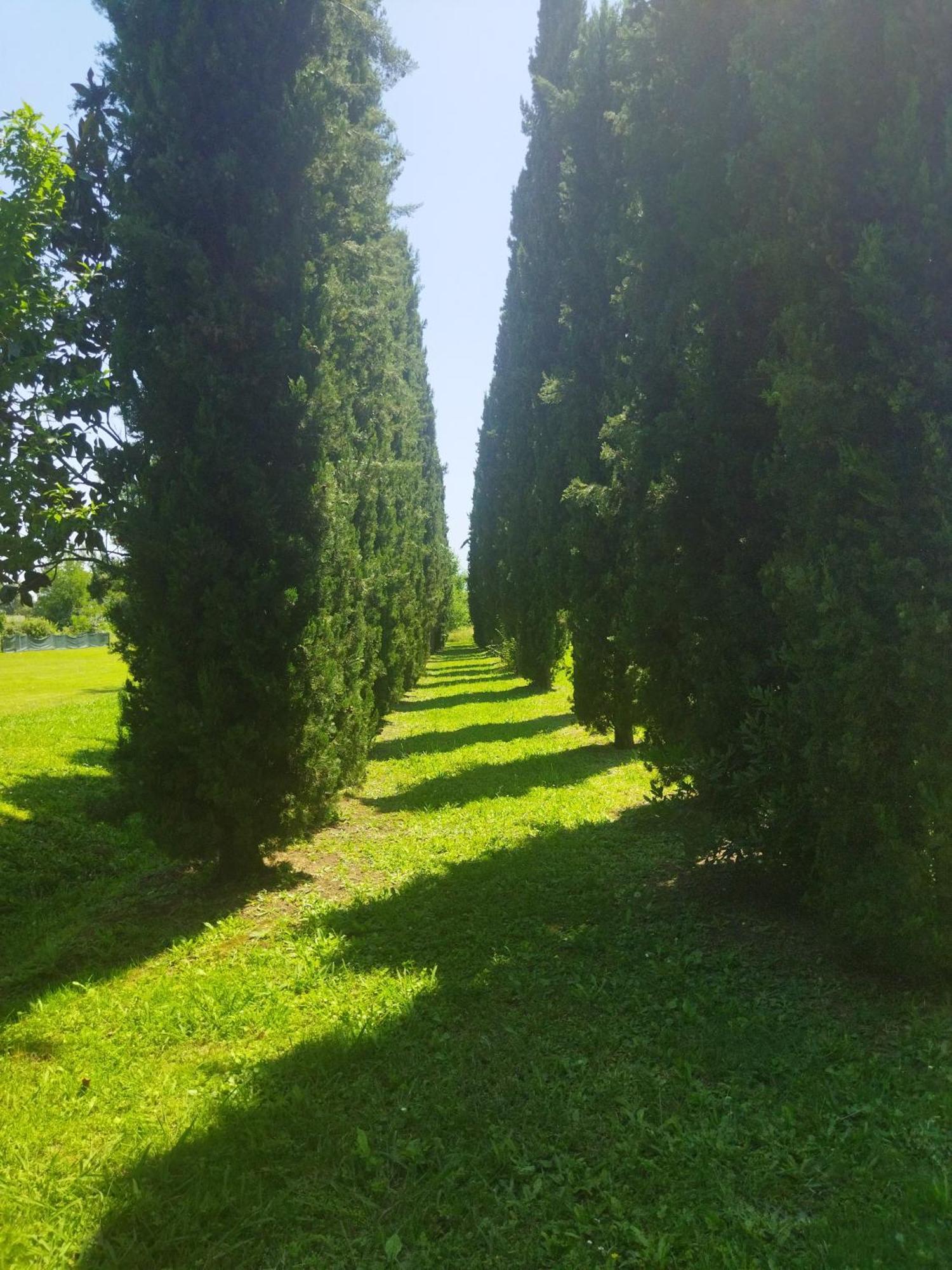 Villa Fontana Capannori Esterno foto